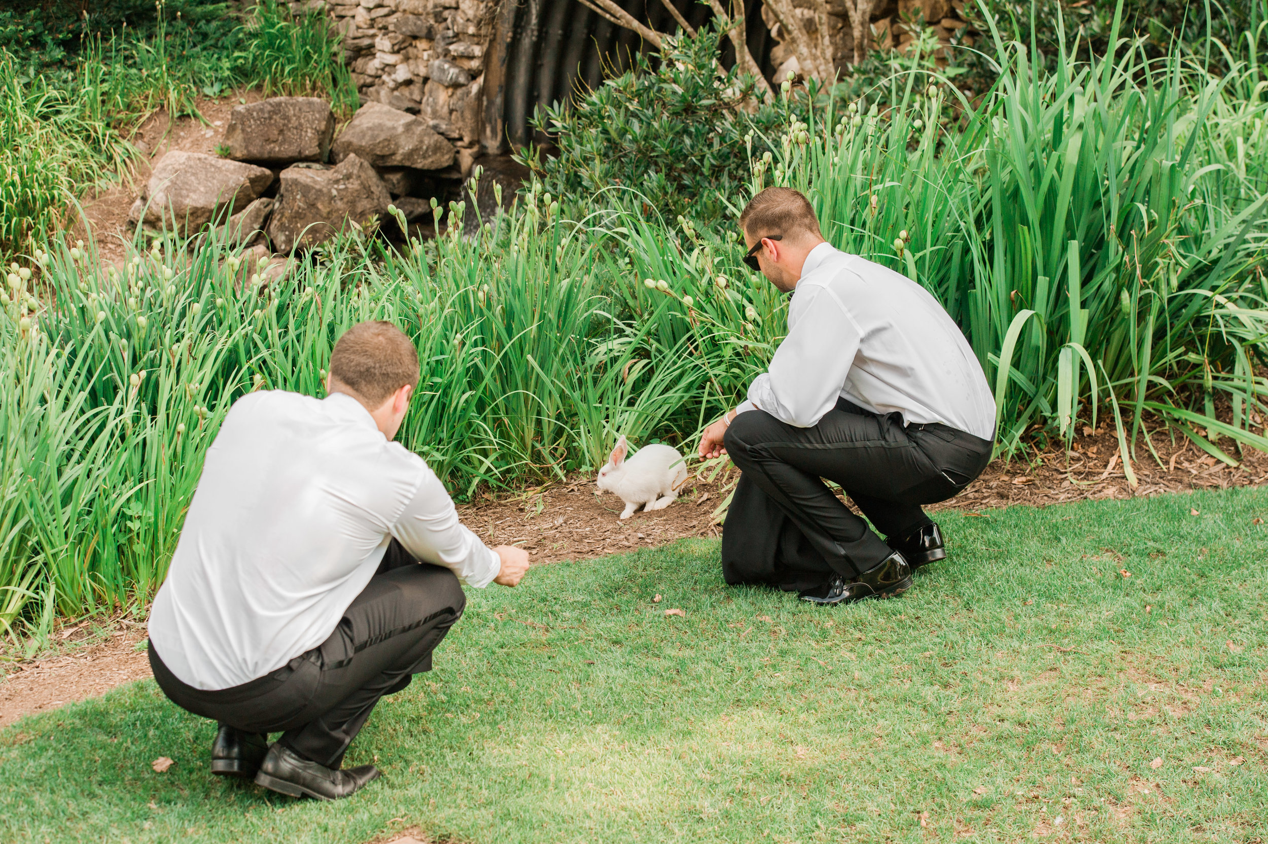  That time the groomsmen got distracted by a bunny.... 